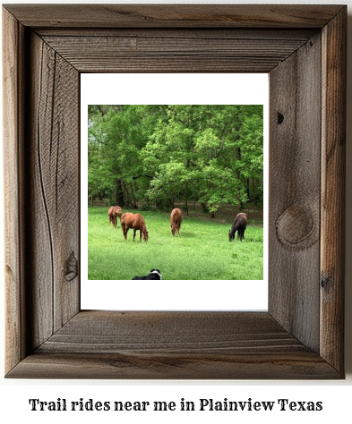 trail rides near me in Plainview, Texas